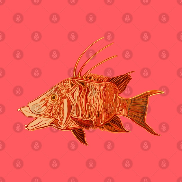 Fire Hogfish - funky fish art by BrederWorks