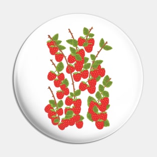 Raspberries Pin