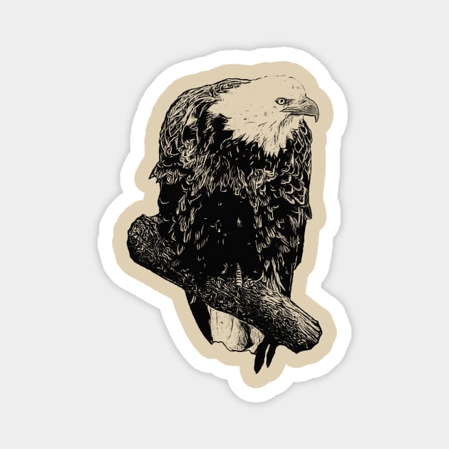 Bald eagle Magnet by Guardi