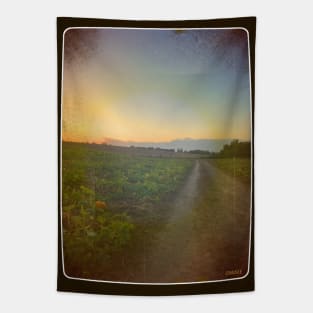 The Road to Autumn Tapestry