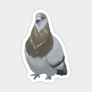 Cute Pigeon Drawing Magnet