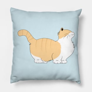 Munchkin Cat Pillow