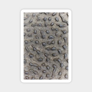 Spotted Volcanic Rock Formation Magnet