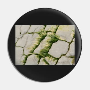 Sea Grass Pin