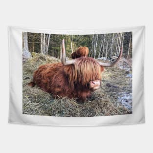 Scottish Highland Cattle Cow 2301 Tapestry