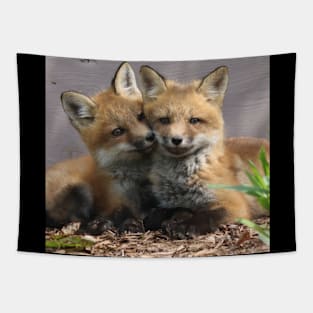 Fox Pups Getting Cozy Tapestry