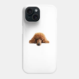 Poodle Gorgeous Poodle Face / Head Phone Case