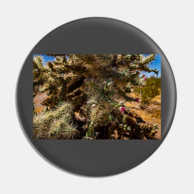 Cholla Cactus along the Apache Trail Pin by Gestalt Imagery