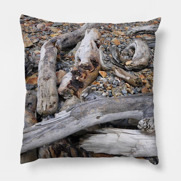 Driftwood on the shore Pillow by stevepaint