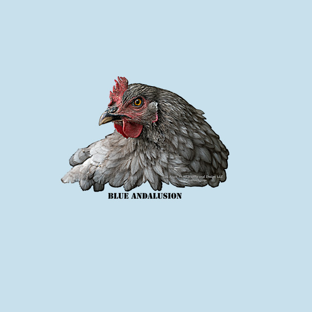 Disover Blue Andalusion - Chicken - T-Shirt