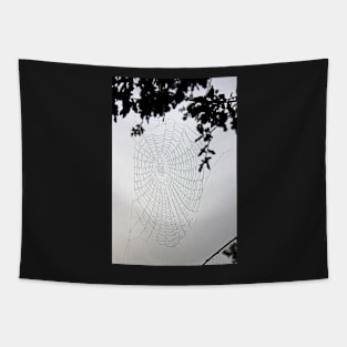 Dew-covered spider web #2 Tapestry