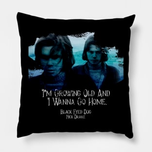 Nick Drake Black Eyed Dog Lyric Design Pillow