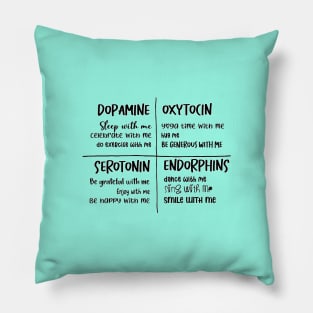 The chemistry of happiness Pillow