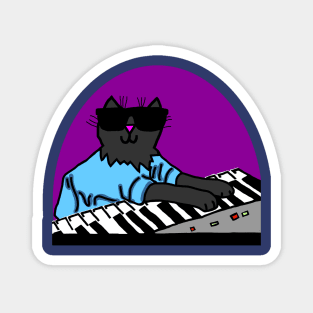 Cool Cat Wearing Sunglasses Makes Music Magnet