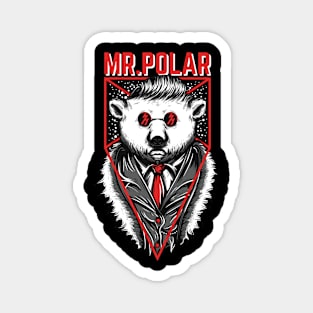 Mr. Polar Magnet