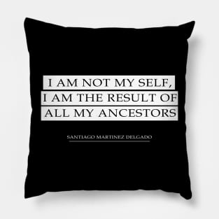 My Ancestors Quote | T - Shirt Pillow