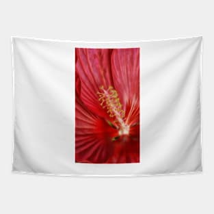 macro-photography of single bright red glowing hibiscus bloom Tapestry