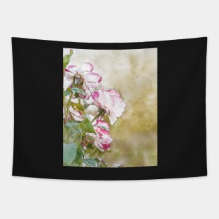 Light pink roses Tapestry