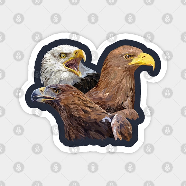 Golden eagle and eagle Magnet by obscurite