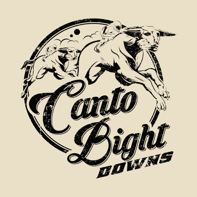 Canto Bight Downs by MindsparkCreative