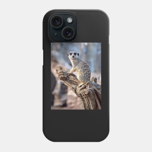 Meerkat Magic, Photography + Digital Art Phone Case