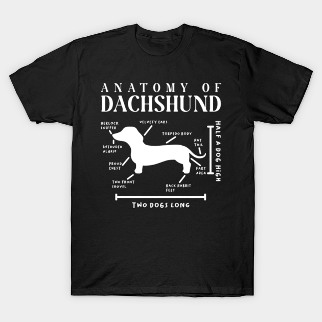 Discover Funny Anatomy Of Dachshund Dog Breed Pets - Dachshund - T-Shirt