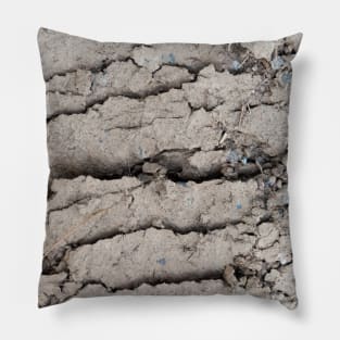 Arid mud flats cut Pillow