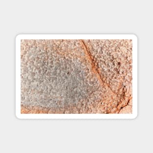 Orange Seaside Rock Erosion Magnet