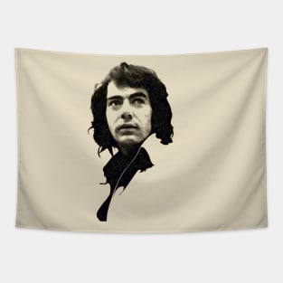 Neil Diamond - Vintage Tapestry