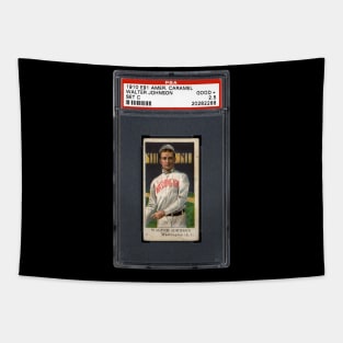 1908-10 American Caramel Set C (E91) - WALTER JOHNSON Tapestry