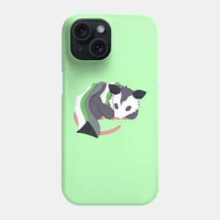 Demiromantic Pride Possum Phone Case