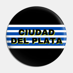 Ciudad del Plata in Uruguay Flag Stripes Pin