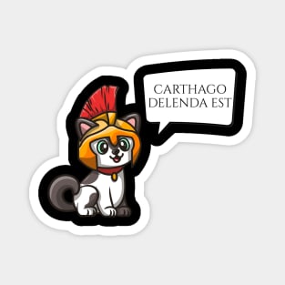 Carthago Delenda Est - Ancient Roman Legionary Cat - Latin Magnet