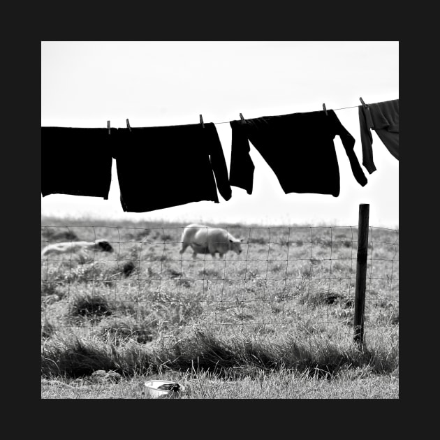 Clothesline in Ouessant by rollier