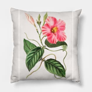 Dipladenia Flower Branch Pillow