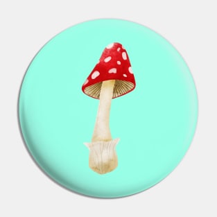 Mushroom Master Fly Agaric Pin