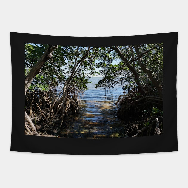 Water in Mangrove Clearing Tapestry by Sparkleweather