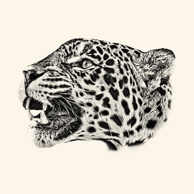 Jaguar by Guardi