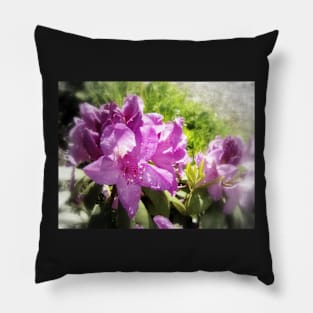 rhodedendron 3 Pillow