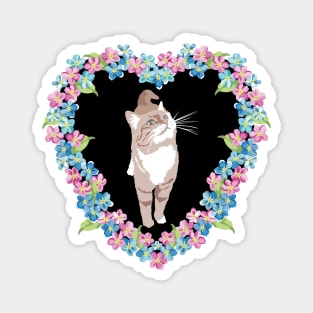 Coco Cat with Forget me not flowers in a heart Magnet