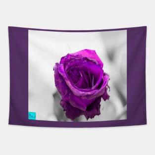 purple rose Tapestry