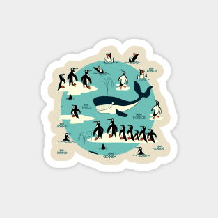 Whales, Penguins and other friends Magnet