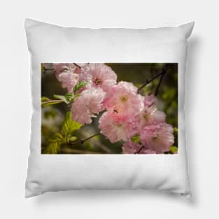 Flowering Almond Pillow