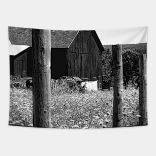 All the Queens Barn /Features Field of Queen Ann Lace/Fence Tapestry