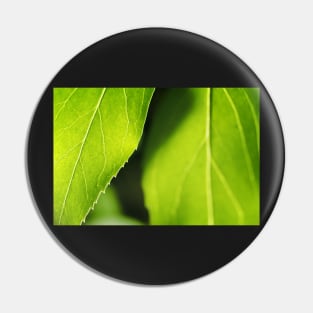 Refreshingly Green Leaves Pin