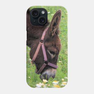 Happy Donkey Phone Case