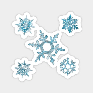 Snowflakes Magnet