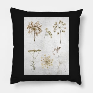 Queen Anns Lace dried flowers Pillow