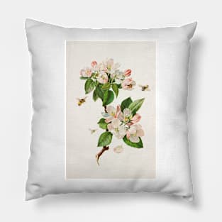 Apple Blossoms and bees - Botanical Illustration Pillow