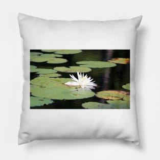 American White Waterlily Pillow